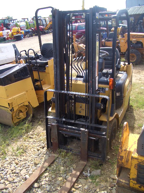 Cat 18
