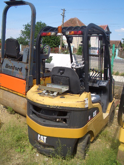 Cat 18