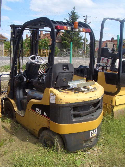 Cat 18